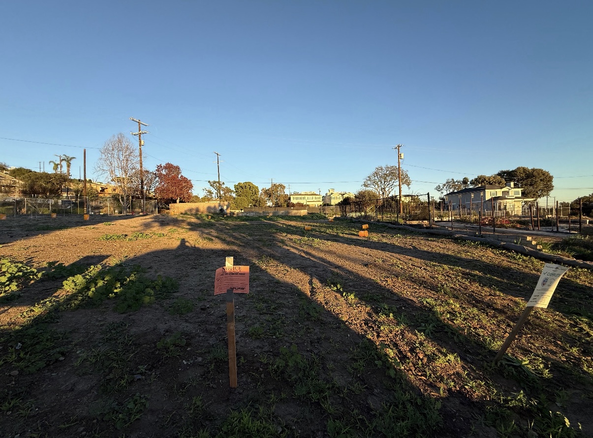 1166 Galloway Street